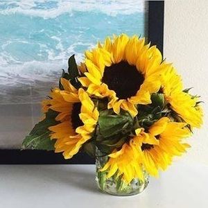 Meet your Posher, Cathy